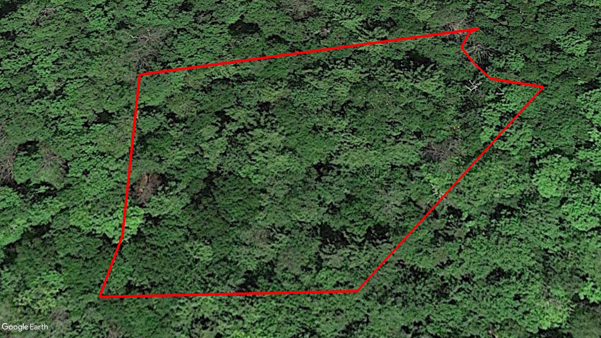 Tax Sale SAINTE-ADÈLE, Ontario - 5089 90 9782