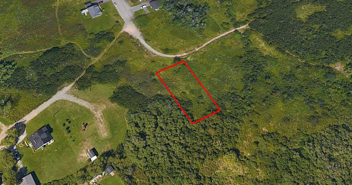 Tax Sale in Saint John, New Brunswick rue paisley, saint john Tax