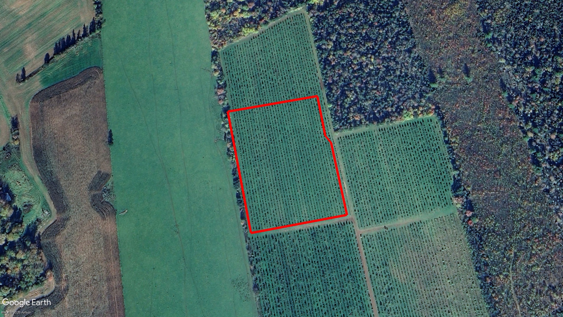 Tax Sale Charlottetown, Prince Edward Island - 