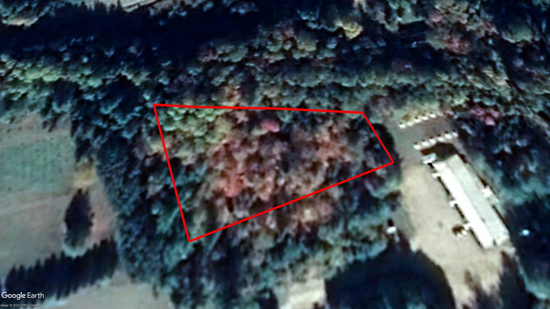 Tax Sale Kearney, Ontario - 49 18 010 001 11300