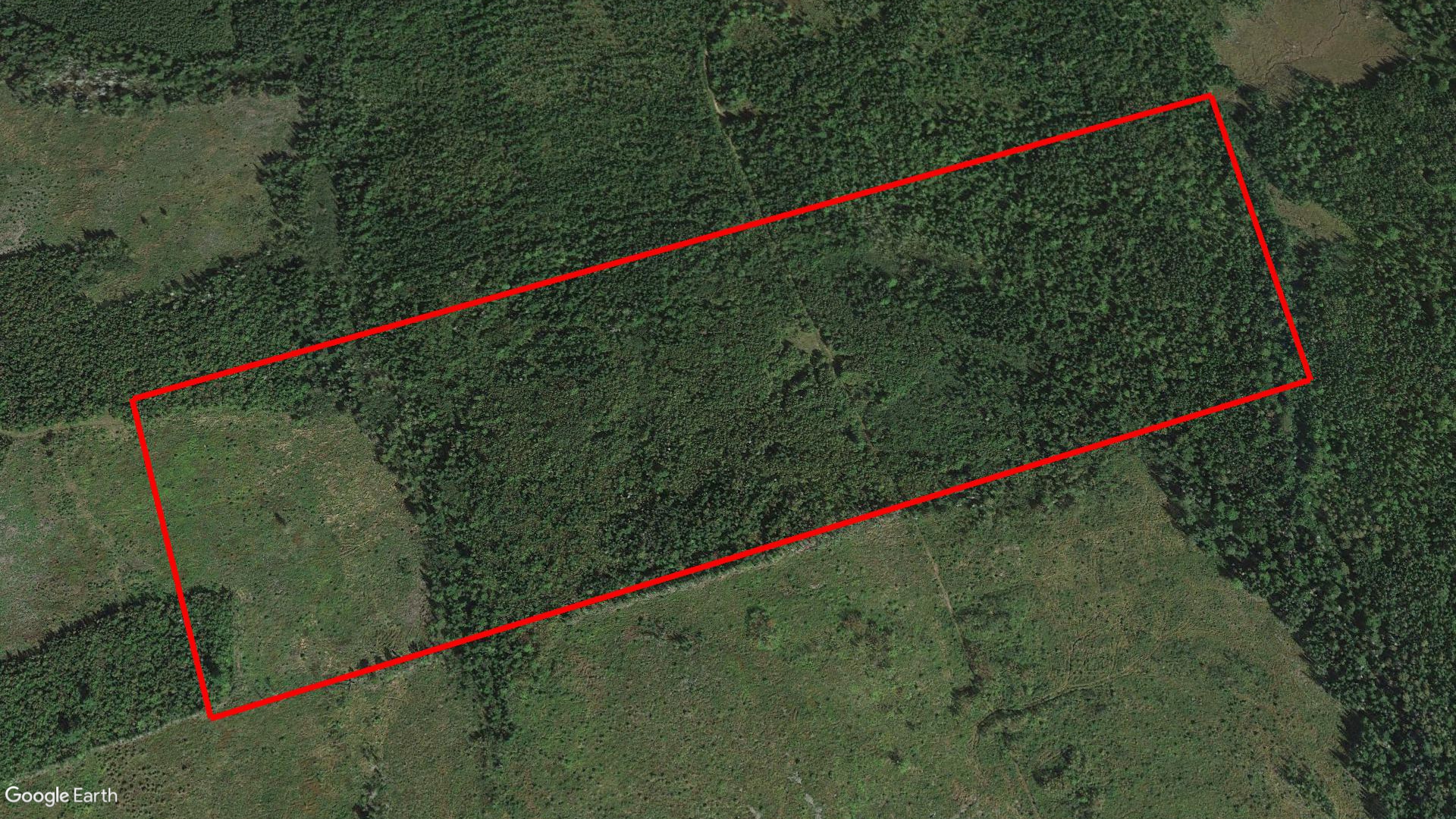 Tax Sale Fredericton, New Brunswick - 01002071