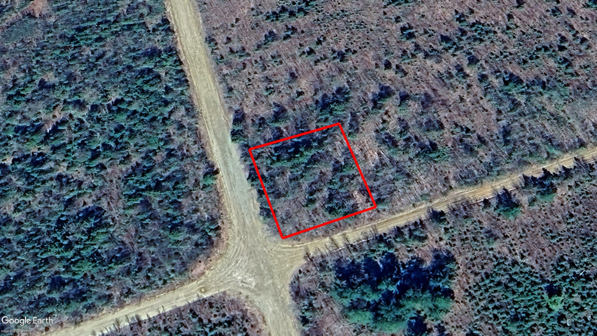 Johnsonville Road, Nouvelle-Arcadie