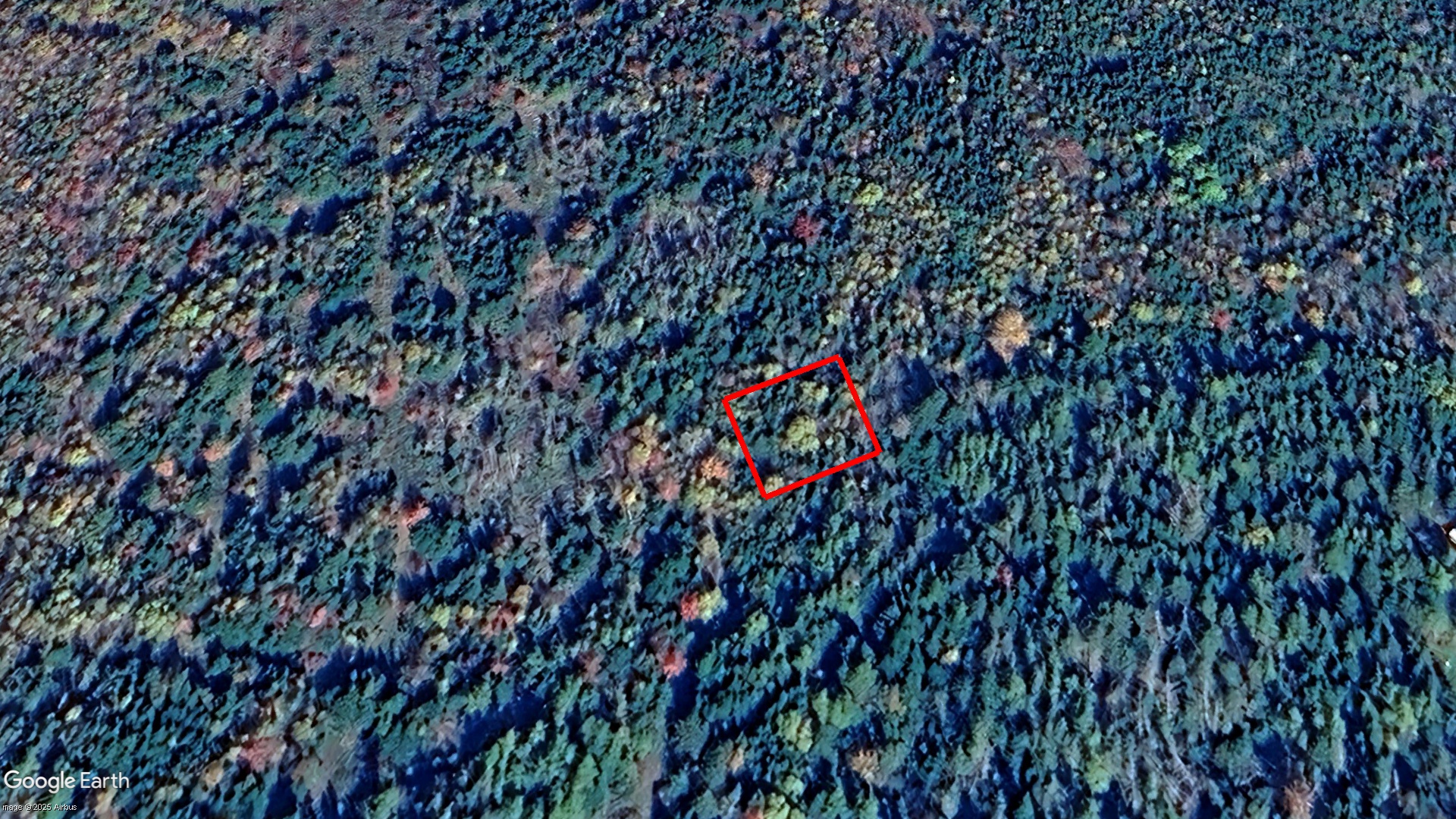 Tax Sale Halifax, Nova Scotia - 01502336