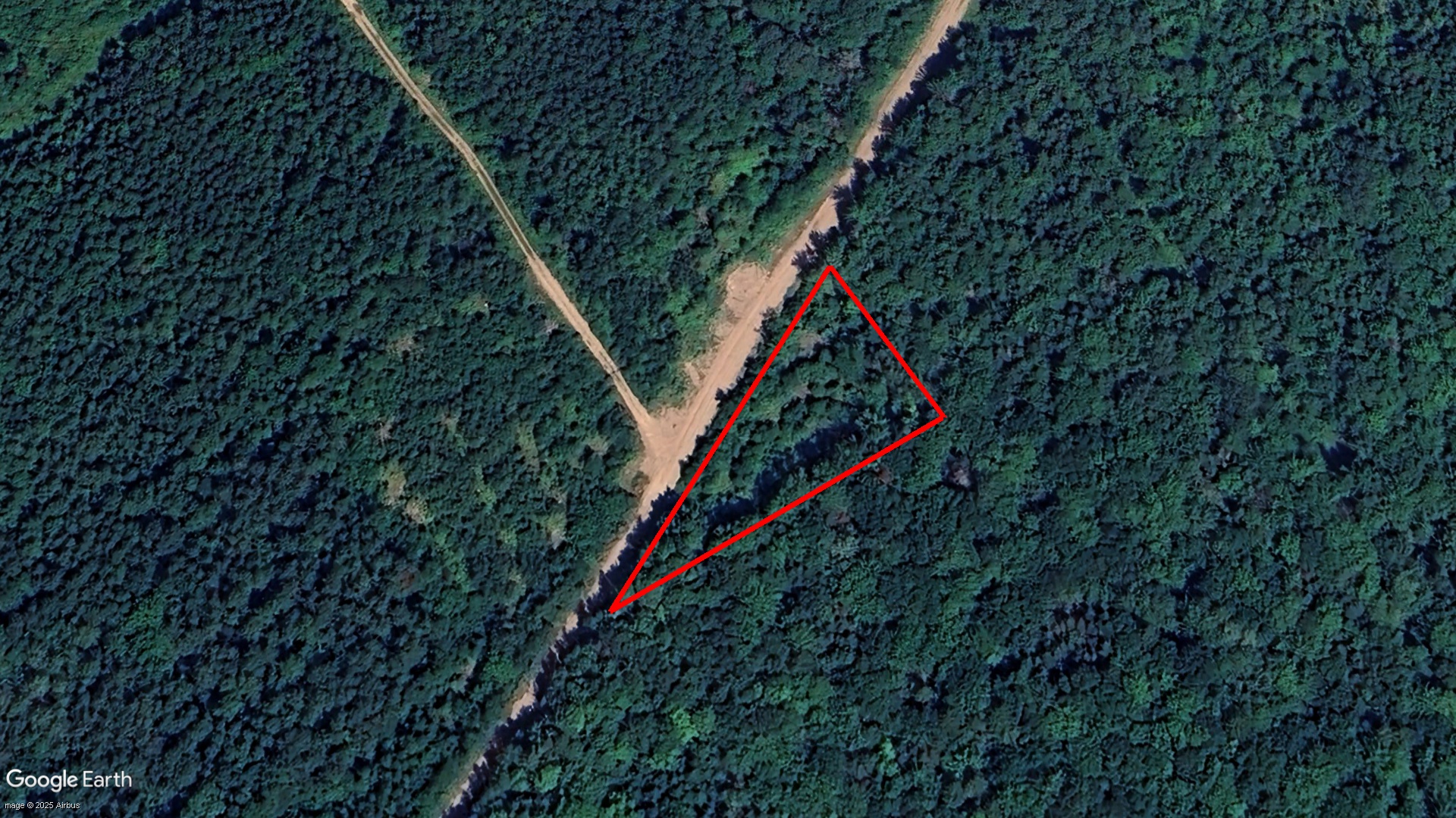 Douglas Road, Champdoré