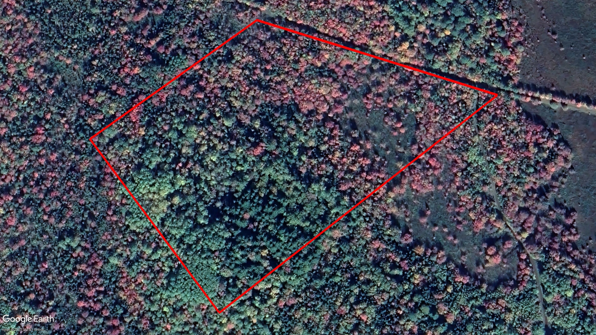 Tax Sale Lunenburg, Nova Scotia - 00597449