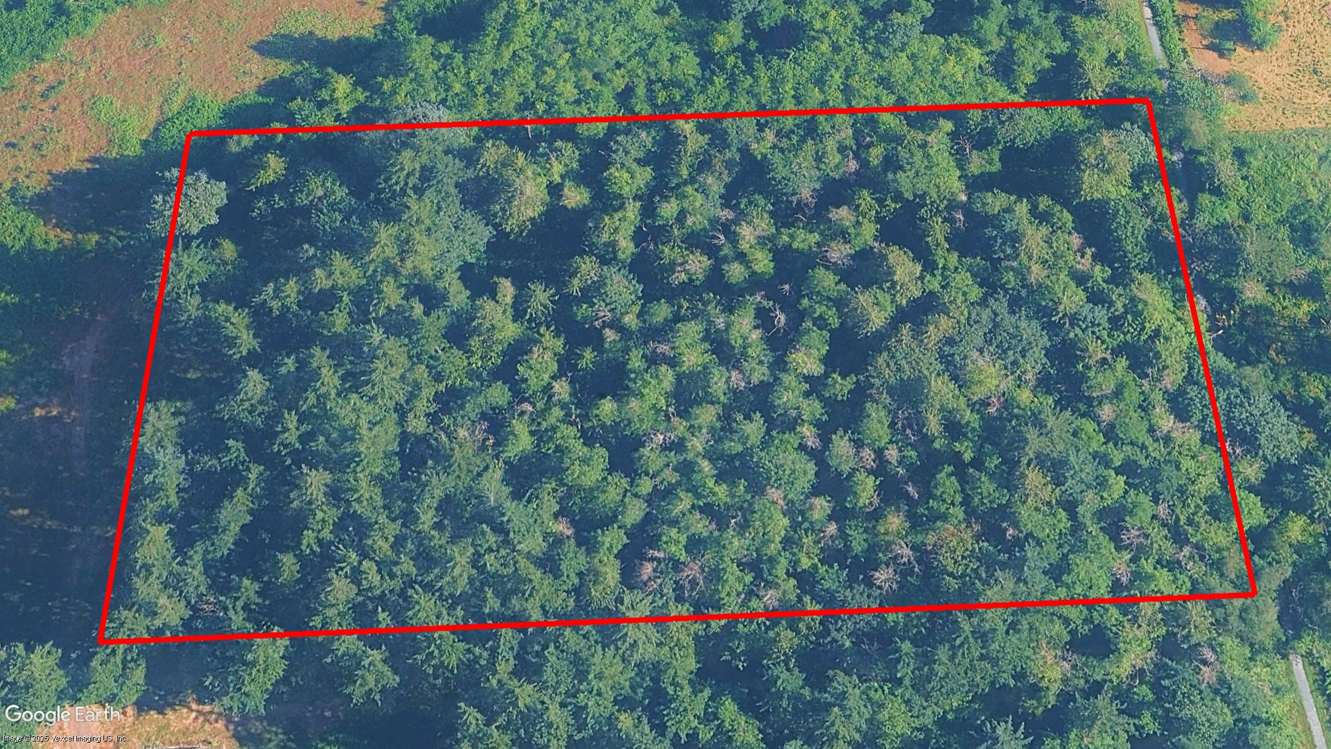 Tax Sale Langley, British Columbia - 