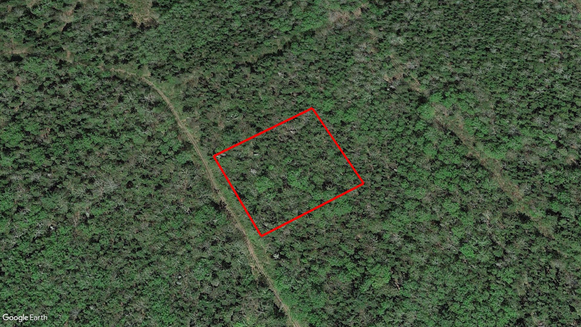 Tax Sale Moncton, New Brunswick - 02397681