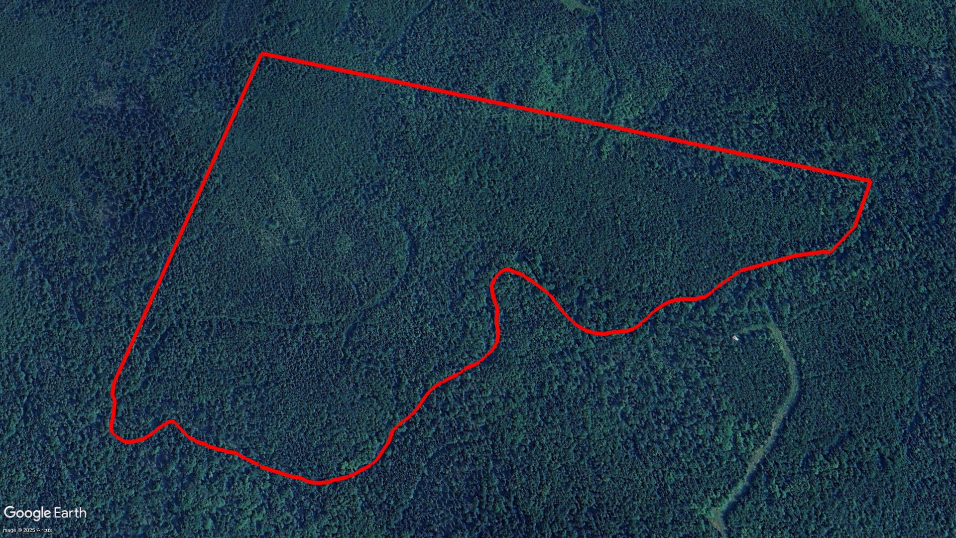 Tax Sale Albert Westmorland, New Brunswick - 02079843