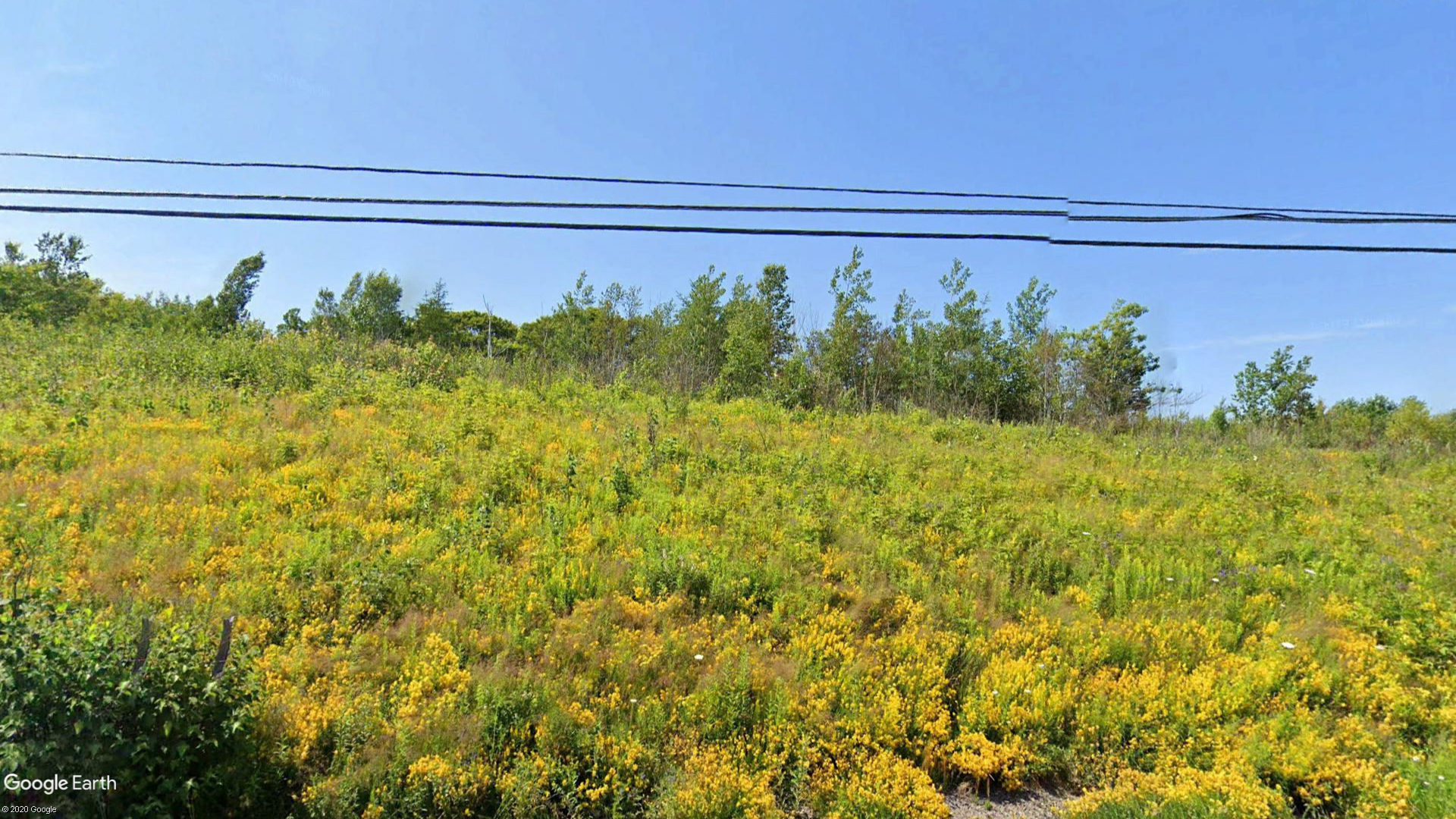 Tax Sale Cape Breton, Nova Scotia - 9239855 