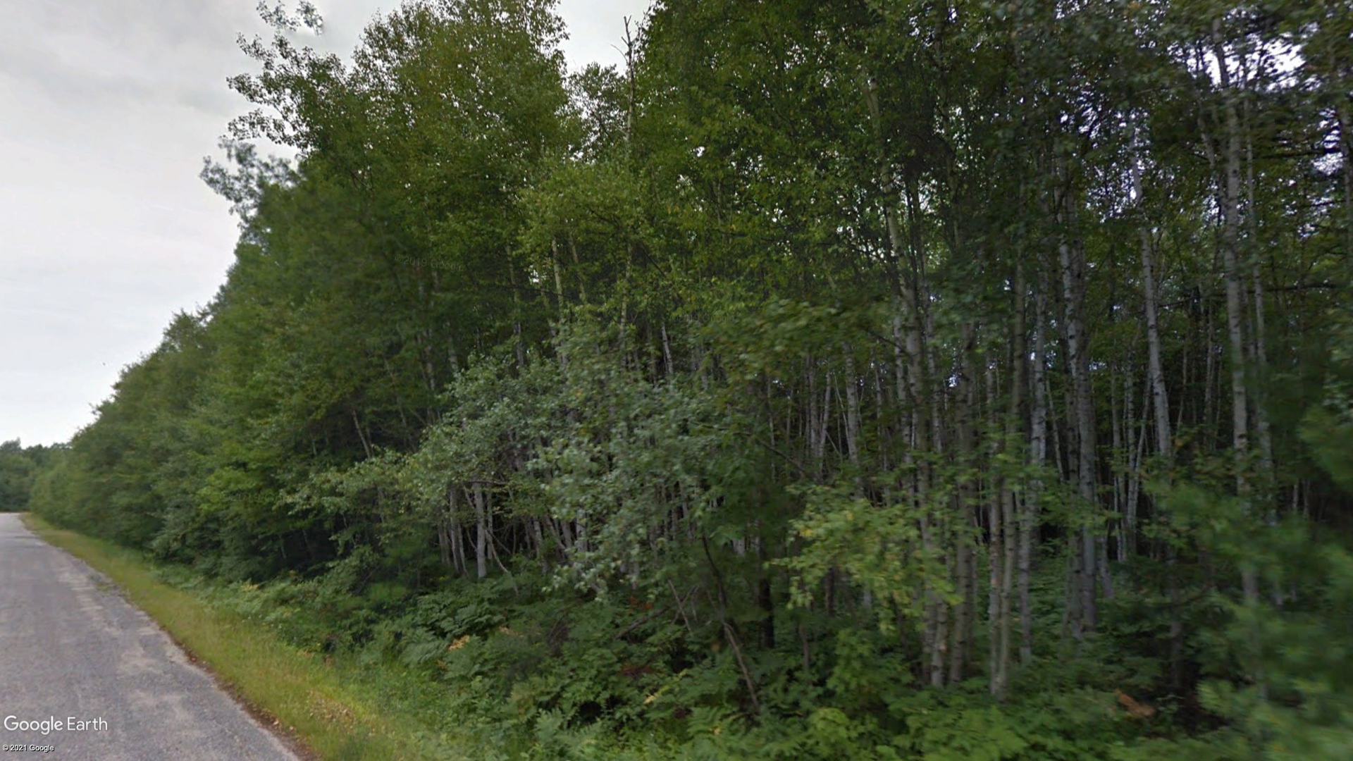 Tax Sale Bathurst, New Brunswick - 40110629